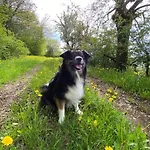 Nyaraló Ebermannsmuehle *