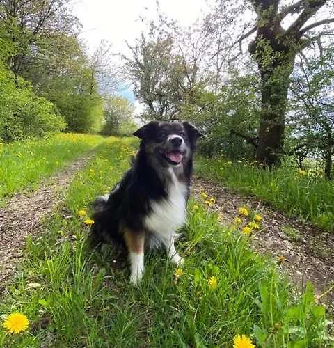 Tatil Evi Ebermannsmuehle *